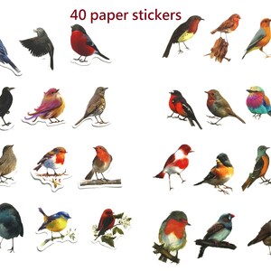 May include: Forty colorful paper stickers featuring various bird illustrations. The stickers depict a variety of bird species with different colors, patterns, and poses.