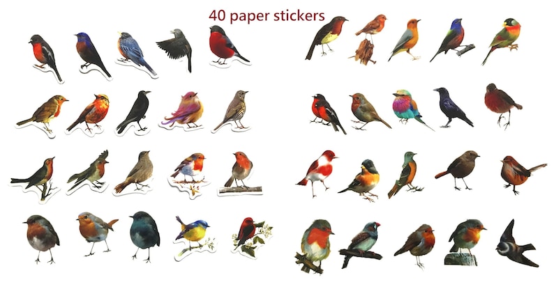 May include: Forty colorful paper stickers featuring various bird illustrations. The stickers depict a variety of bird species with different colors, patterns, and poses.