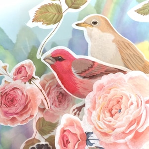 conjunto de 3 pássaros adesivos flor jardim pássaro rosa peônia camélia lindo pássaro animal de estimação grande pássaro nacional pássaro colorido decoração scrapbook presente