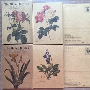 Conjunto de 24 postales de enciclopedia de lirios rosas, colección de flores, jardinería, botánica, planta, impresión artística botánica, ilustración, tarjeta Kraft, papel de regalo