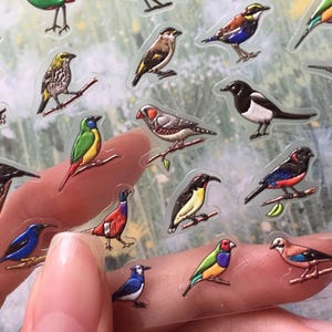 35 adesivos de pássaros adoráveis mini pássaros raros coleção de pássaros nacionais Nail Art Decalque planejador de pássaros adesivo fofo pássaro de conto de fadas etiqueta artesanato presente