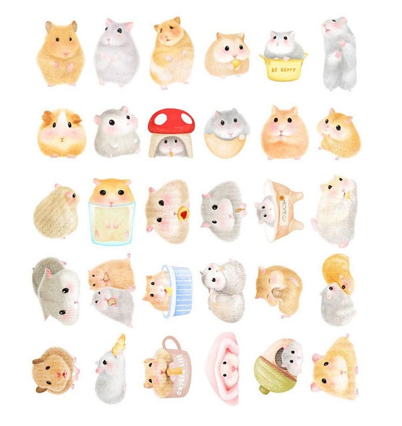 30 Hamster Paper Embellishment Hamster Theme Die Cut Paper Etsy UK
