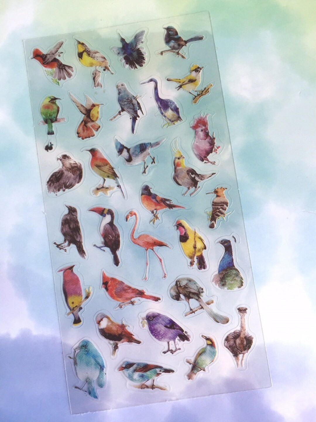 30 Birds Stickers Bird Themed Rare Bird Little Cute Bird Planner ...