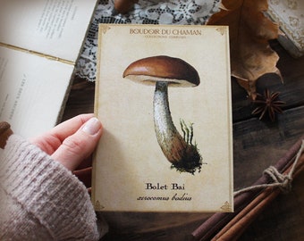 Bai Bolete. ilustração de cogumelo de cartão impresso da 19ª magia de bruxaria de decoração botânica vintage.