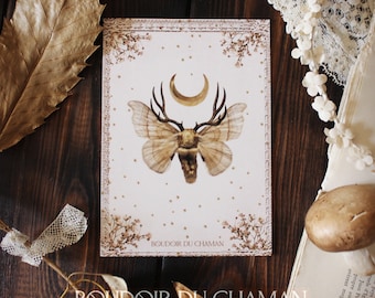 Night of Mabon . printed card original illustration decoration entomology vintage witchcraft magic