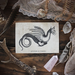 Le Dragon. carte imprimée illustration du 17ème décoration botanique vintage sorcellerie magie .