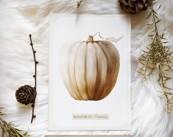 Pumpkin Bobidibou. printed map botanical illustration vintage witchcraft magic .