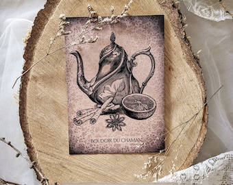 Enchanted Tea. printed card illustration cinnamon autumn vintage witchcraft magic cozy.
