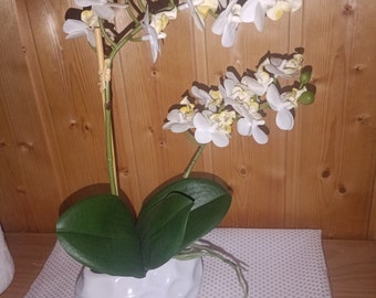 2 stem orchid arrangement all year round decoration