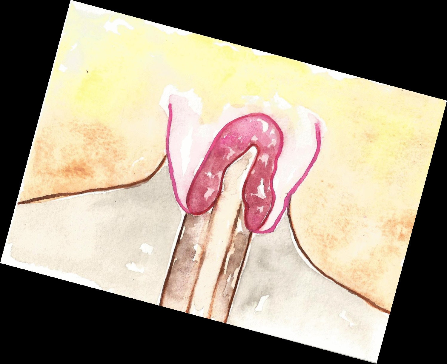 Penis In Vagina Drawings