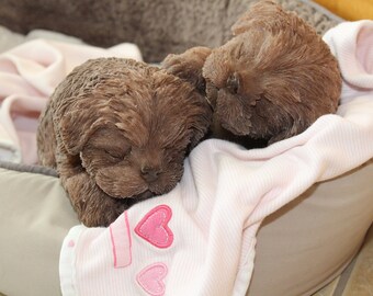 silicone baby puppies