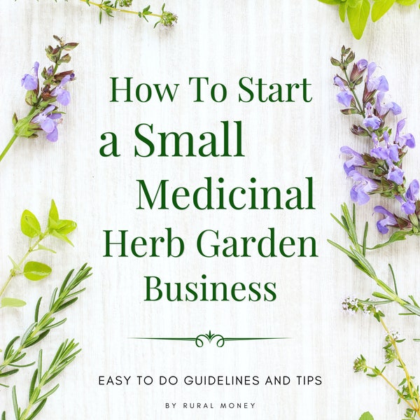 How To Start A Small Medicinal Herb Garden Business:  Easy To Do Guidelines And Tips