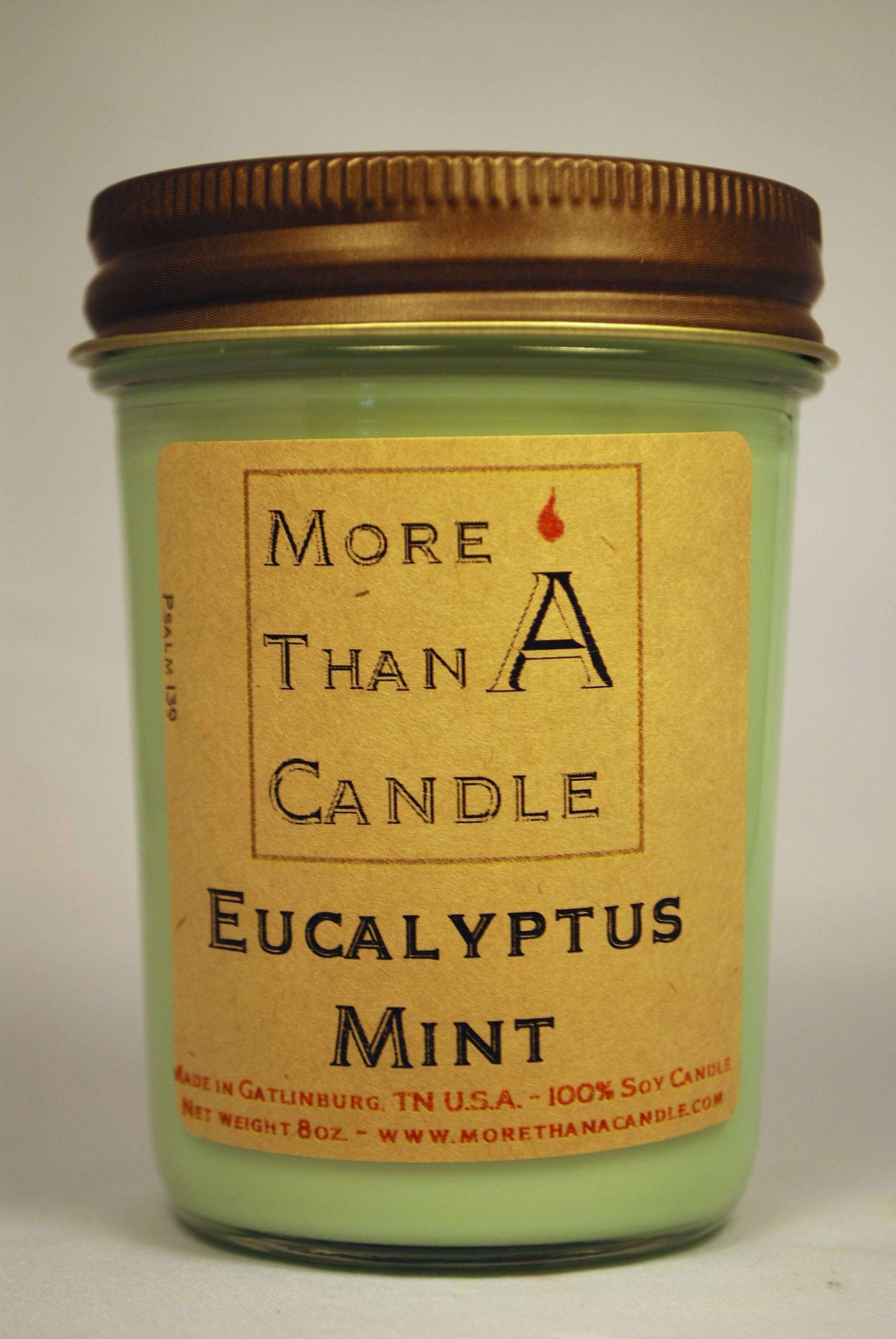 8 Oz Eucalyptus Mint Soy Candle Etsy UK