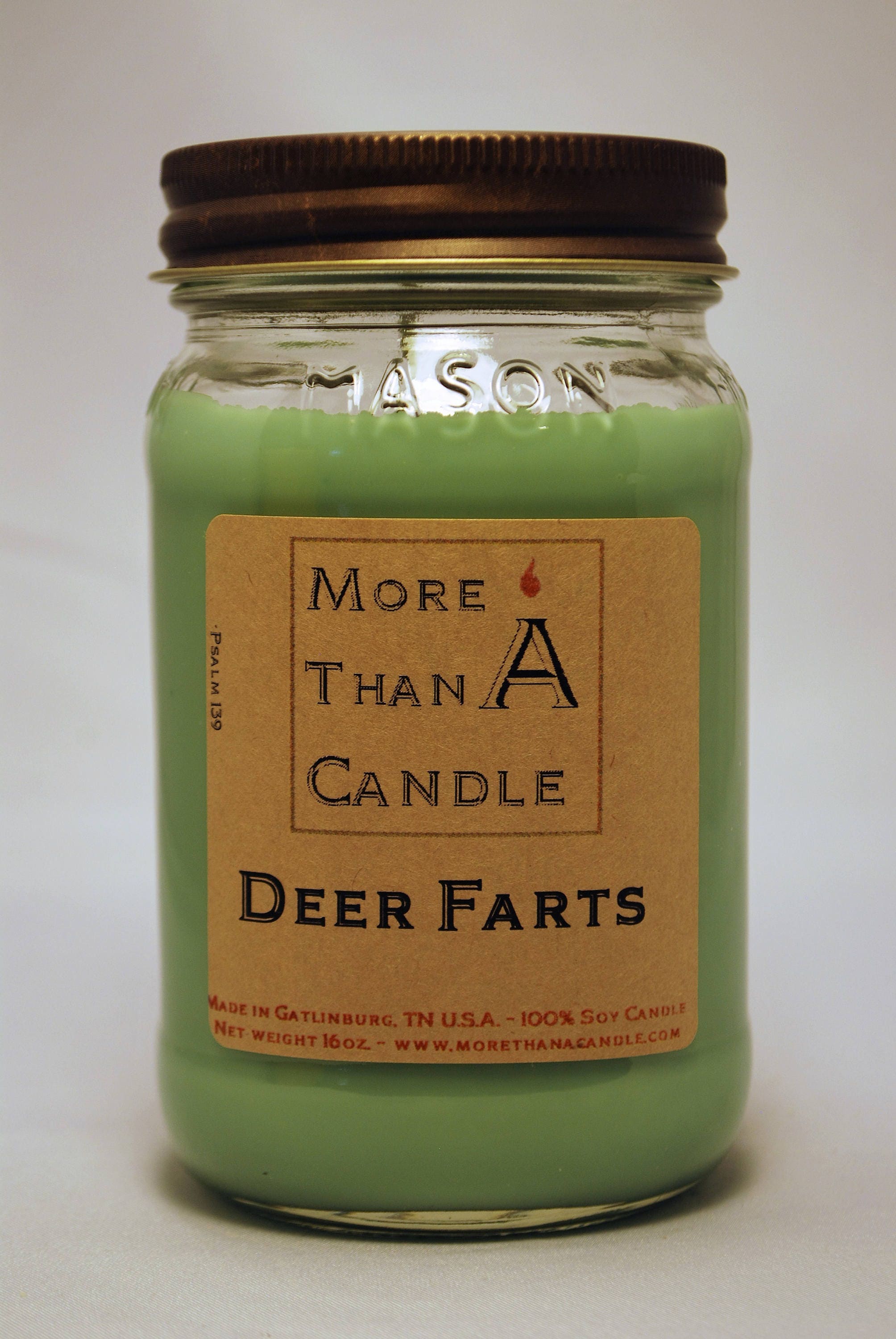 16 oz Deer Farts Soy Candle