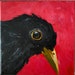 see more listings in the art original - oiseaux section