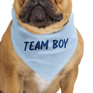 Team Boy // Pañuelo cuadrado de revelación de género
