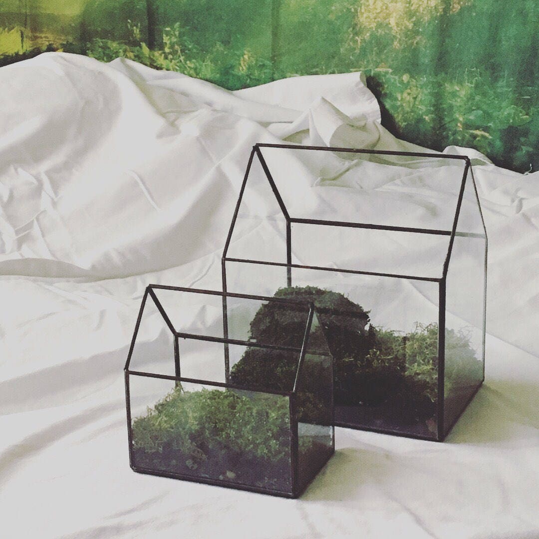 Glass House Terrarium Large Geometric Terrarium Minimalist Etsy