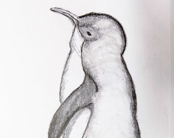 Dessin de pingouin, croquis au crayon, dessin graphite, dessin original au crayon, petit pingouin bleu