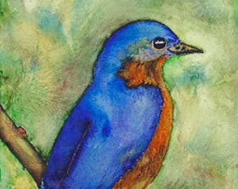 Bluebird Watercolor Painting: Matted Bird Art (11" x 14")