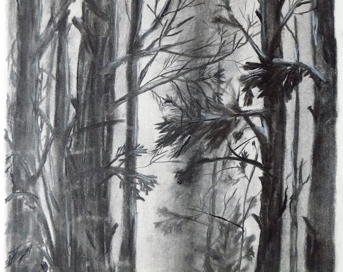 Original Charcoal Drawing Nature Trees Art Drawing Moon Etsy