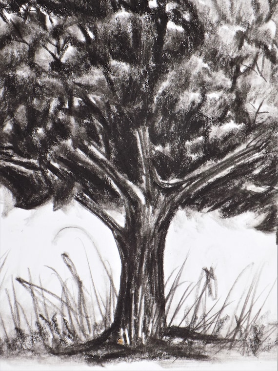 Art Grey Scale Charcoal Tree Sketch - Etsy