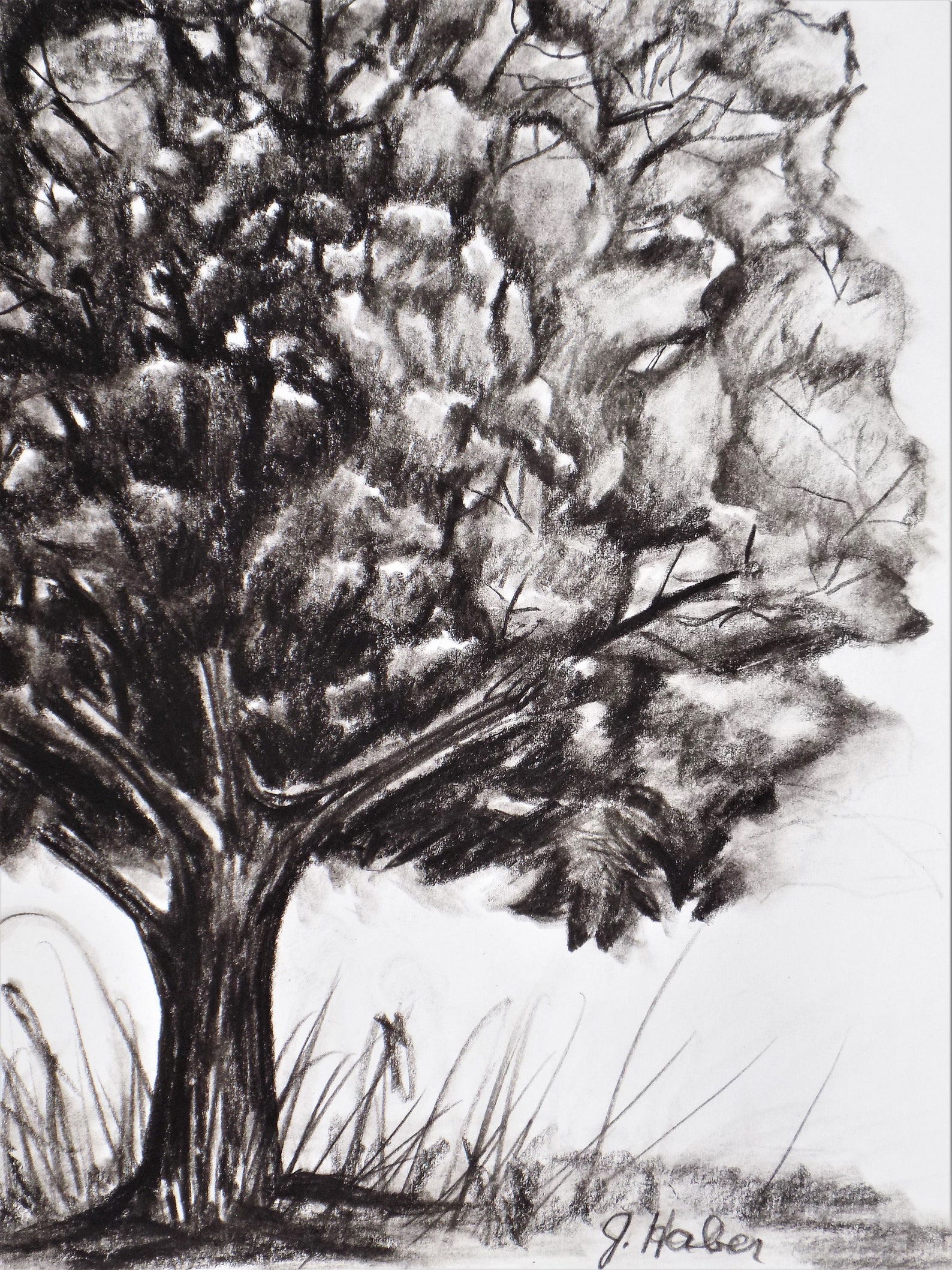 Original Tree Artwork Charcoal Drawing 8 X 11 Original Art Etsy
