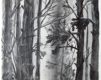 Original Charcoal Drawing Nature, Trees Art Drawing, Moon