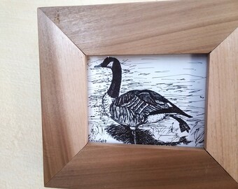 Framed Artwork Original, Canadian Goose Pen and Ink Drawing Original Art, ACEO Original, One of a Kind, 5 5/8 x 5 "