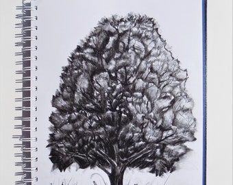 Original Tree Artwork, Charcoal Drawing, 8 x 11, Original Art