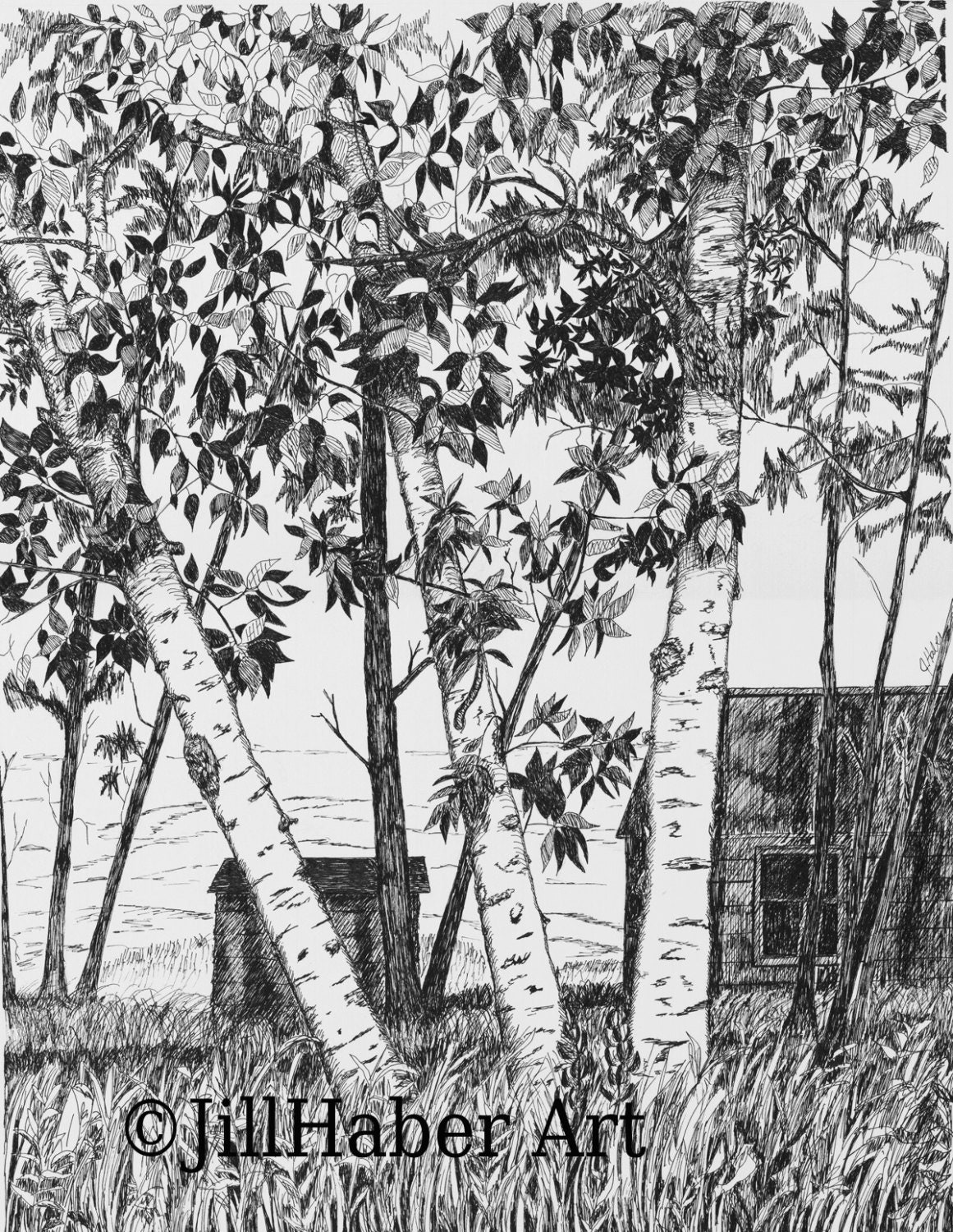 Pen and Ink Drawing, Birch Tree Print, Pen and Ink Prints, 8 X 10 Print ...
