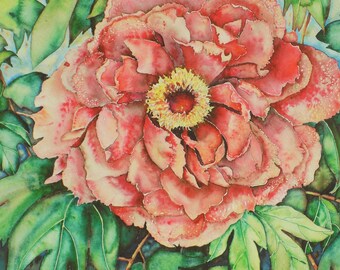 Watercolor Painting Print, Pink Tree Peony Print, Giclee Print, Print Wall Art, approx. 11"x14 3/4" Image