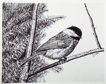 Chickadee Pen and Ink Drawing, Pen and Ink Art, Chickadee Print, 8 x 10 Print, Giclee Print