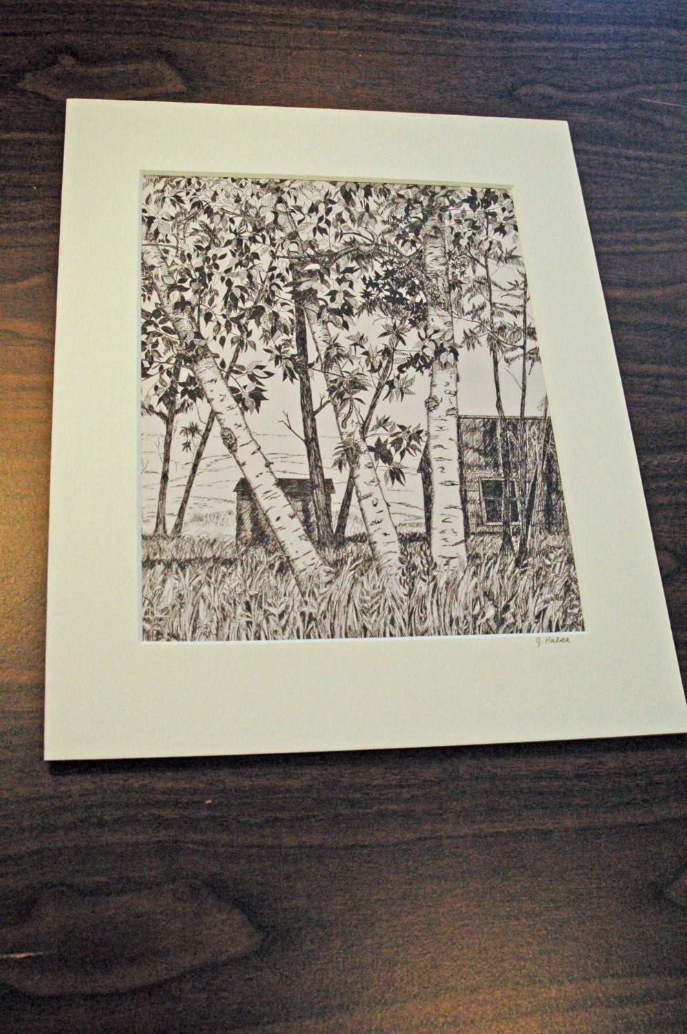 Pen and Ink Drawing, Birch Tree Print, Pen and Ink Prints, 8 X 10 Print ...