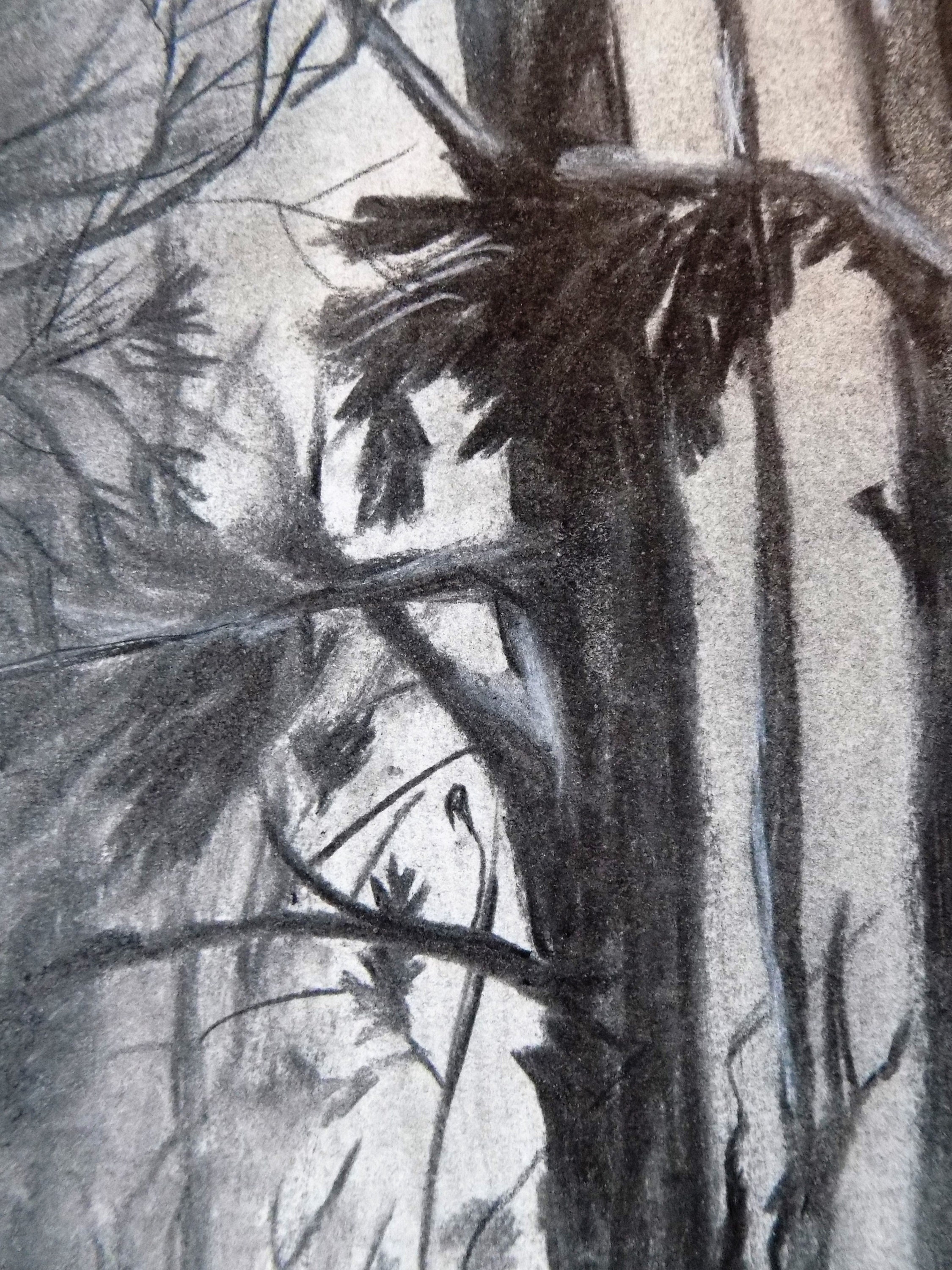 Fall Tree Painting Landscape Original Charcoal Art 14 by 11 inches – Alice Wood  Art
