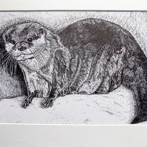 Original Otter Pen and Ink, Matted Pen and Ink Drawing, Black and White, Animal Art