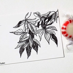 ACEO Original Art, Leaves, Pen and Ink Drawings Original, OOAK, 2.5 x 3.5