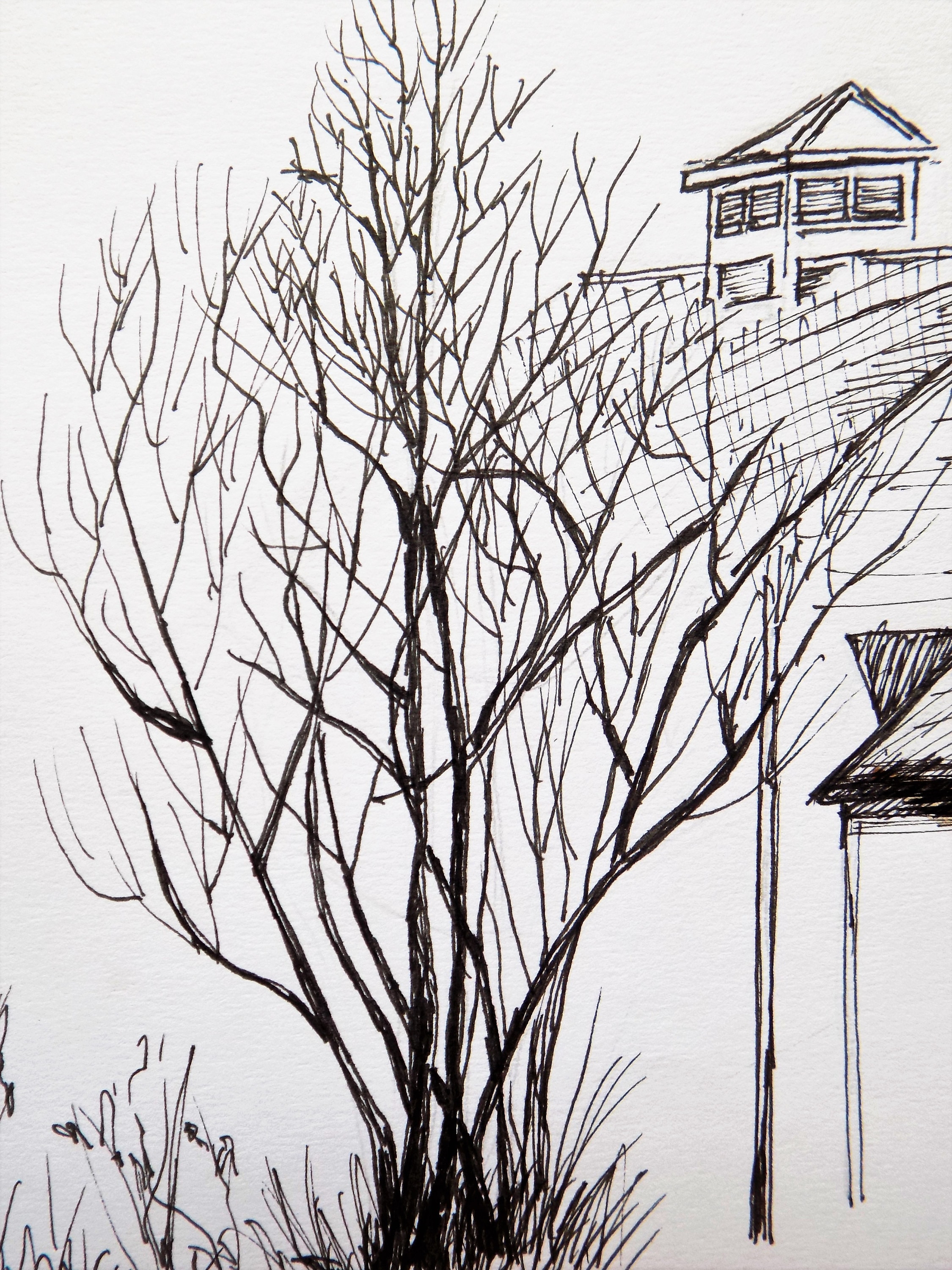 Dibujo original Arte del paisaje Dibujo a pluma y tinta Arte - Etsy España Dibujo original Arte del paisaje Dibujo a pluma y tinta Arte - Etsy España