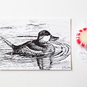 ACEO Ruddy Duck, OOAK, Pen and Ink Art, Pen and Ink Drawings, One of a Kind Art, 2 1/2 x 3 1/2