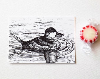 ACEO Ruddy Duck, OOAK, Pen and Ink Art, Pen and Ink Drawings, One of a Kind Art, 2 1/2 x 3 1/2