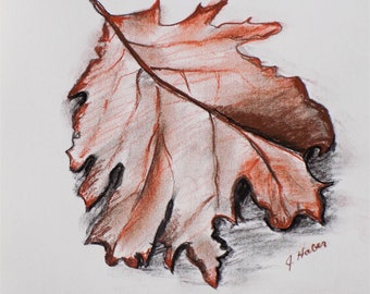 Dessin original Feuille d’automne, Dessin de feuille de chêne, Œuvre d’art d’automne, Croquis original de dessin en couleur