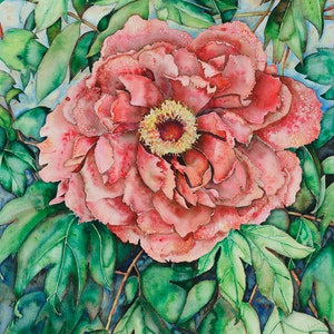 Pink Peony Watercolor Print, Watercolor Giclee Art Print, Watercolor Painting approx. 8&quot; x 10 3/4&quot; Image