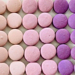 Purple Ombré Macarons