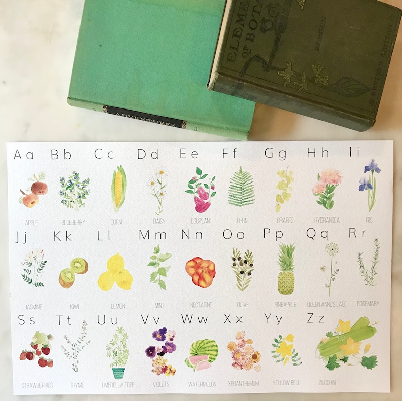 Botanical Alphabet Chart / ABC Poster - Etsy