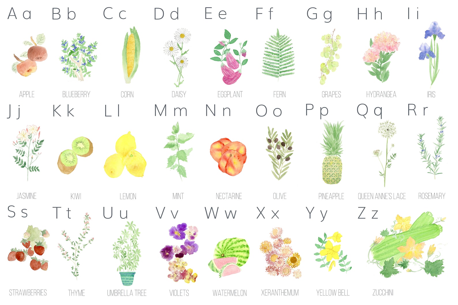 Botanical Alphabet Chart / ABC Poster - Etsy