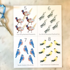 May include: A print featuring watercolor illustrations of birds, including ring-necked pheasants, white-breasted nuthatches, eastern bluebirds, and American goldfinches. Each bird group is numbered from five to eight, with the bird names below.