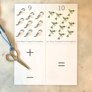 May include: A white educational print featuring watercolor illustrations of birds and numbers. Nine black-capped chickadees and ten ruby-throated hummingbirds are displayed with math symbols. A pair of silver scissors with a blue ribbon is on the left.
