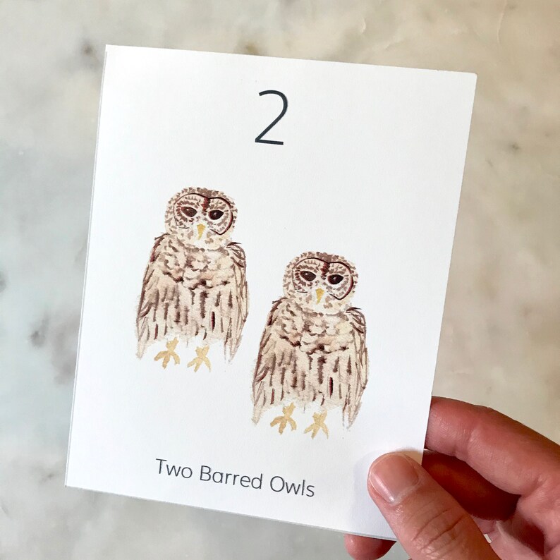 May include: A white card with the number 2 and two watercolor illustrations of barred owls. The owls are brown and white with yellow feet. The text "Two Barred Owls" is printed at the bottom.