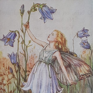 Harebell Flower Fairy Vintage Print Cicely Mary Barker Flower Fairies Original Print 1930s Mounted ready to Frame image 1