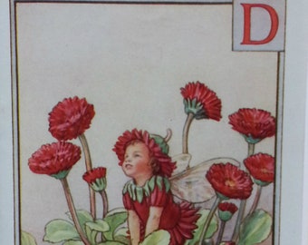 Flower Fairies Mounted D Daisy Alphabet Flower Fairy  CICELY MARY BARKER Nostalgic Vintage Original Print Ready to Frame.