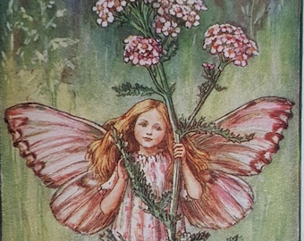 Yarrow Summer Flower Fairy Mounted Flower Fairies 1930's CICELY MARY BARKER Nostalgic Vintage Original Print Ready to Frame.